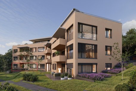 Wohnung · Binningerstrasse 19Oberwil