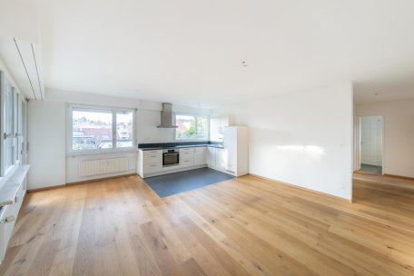 Heller, offener Wohn- und Essbereich