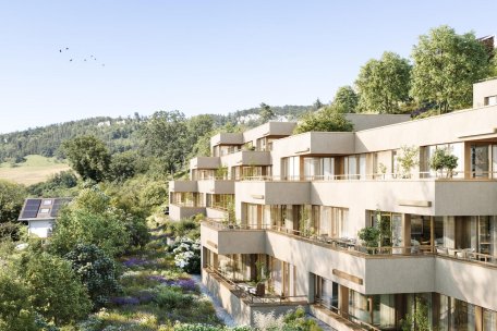 Appartamento con terrazzaDuggingen