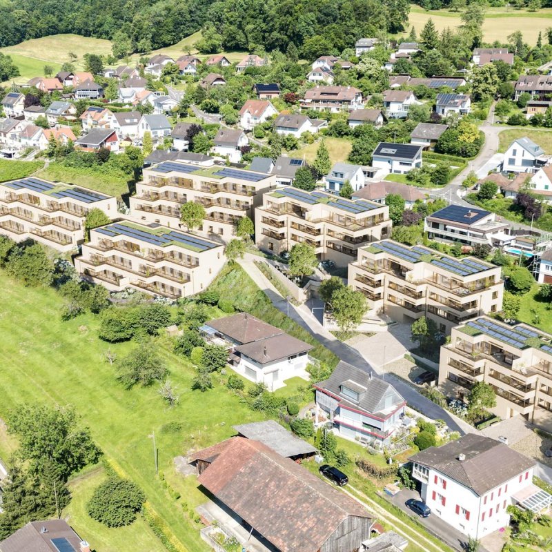 Eingebettet im Grünen