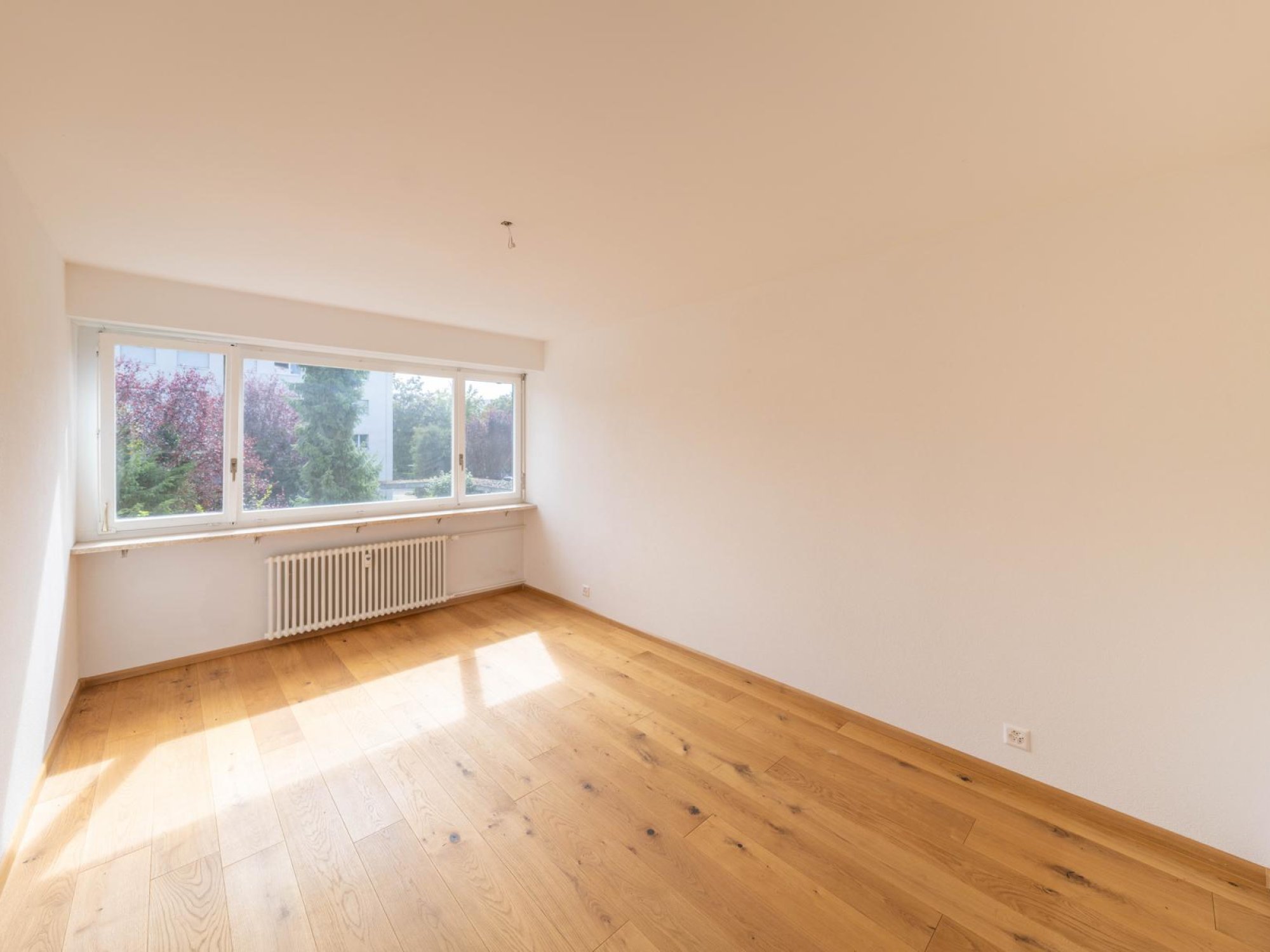 Zimmer 1