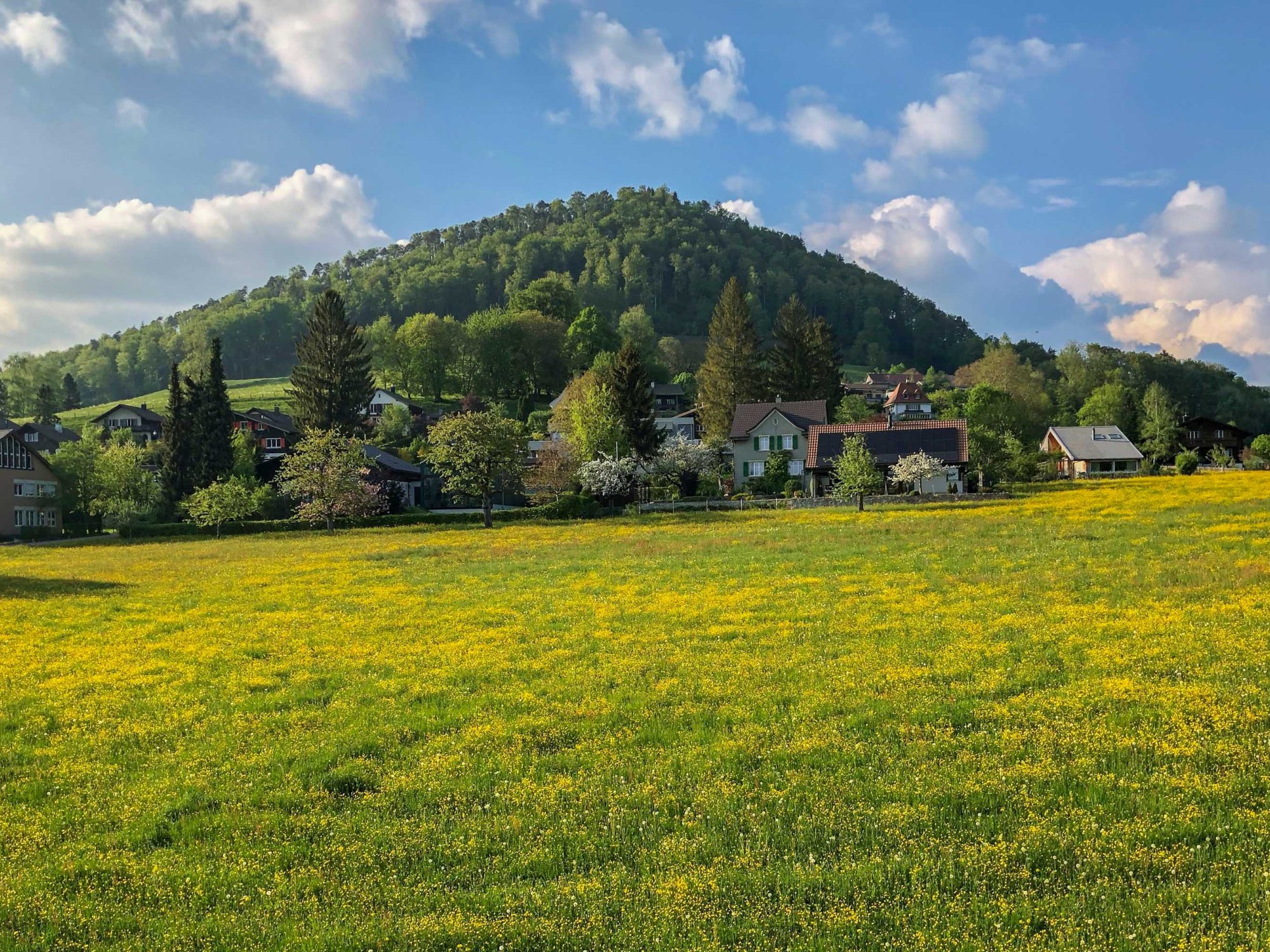Frühling