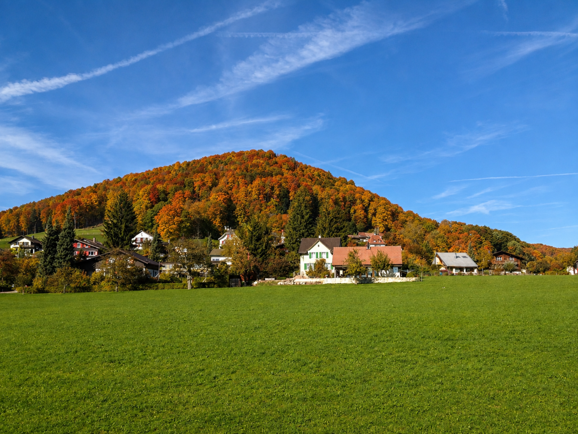 Herbst